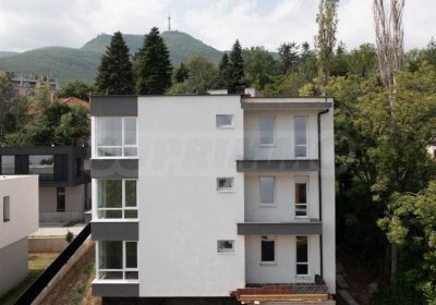 1a174974040474099_cT